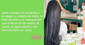 Lee más sobre el artículo 3 Estrategias Para Que Disfrutes De Tu Pelo Hidratado En Verano